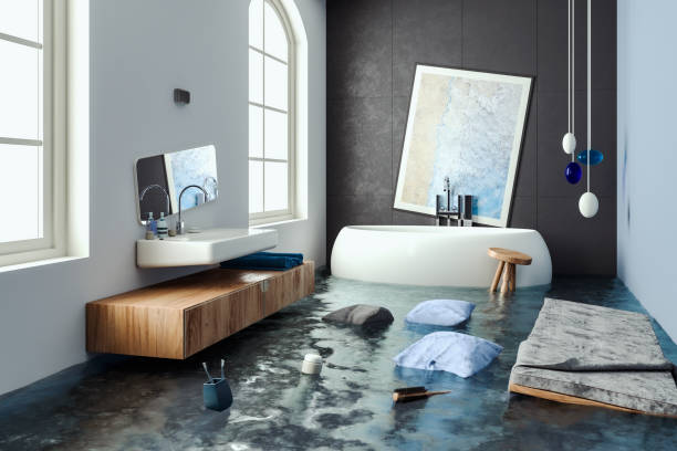 Best Flooded house restoration  in Prceton, IN