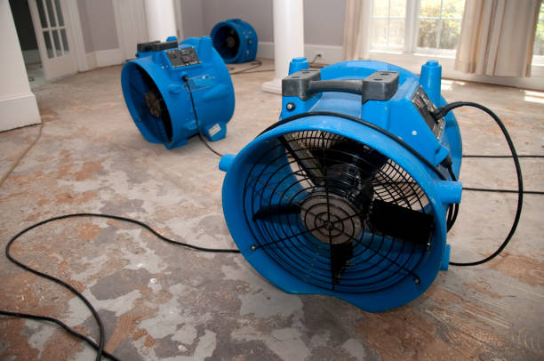 Best Water damage cleanup near me  in Prceton, IN