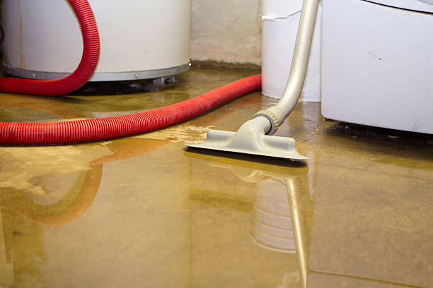 Best Fire Damage Restoration  in Prceton, IN