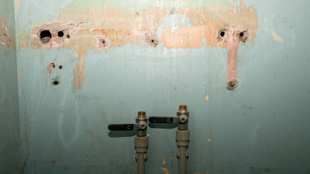 Best Carpet water damage restoration  in Prceton, IN