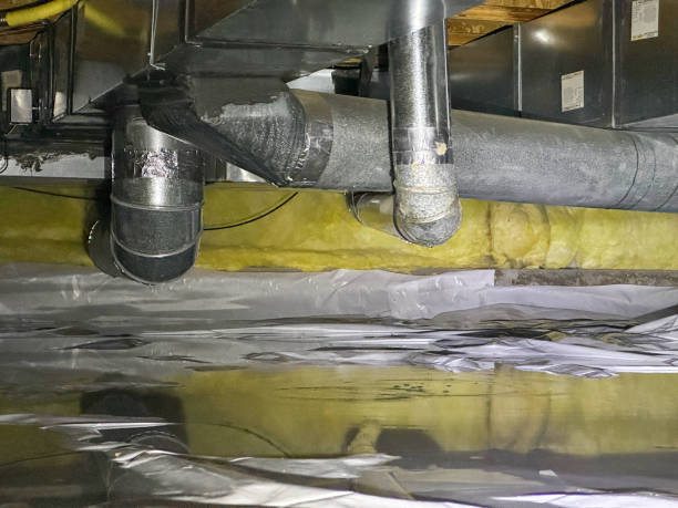 Best Water damage restoration specialists  in Prceton, IN