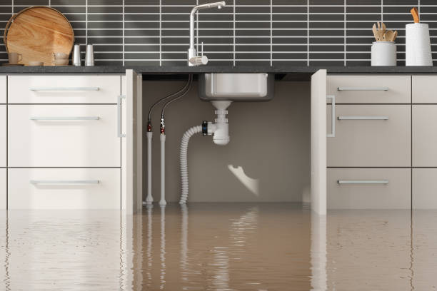 Best Residential water damage restoration  in Prceton, IN