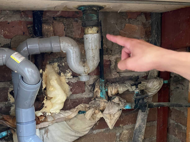 Best Flood restoration services  in Prceton, IN